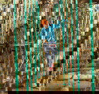 Trees Adventure Yeodene Park - Palm Beach Accommodation