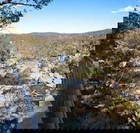 Wadbilliga National Park - Palm Beach Accommodation