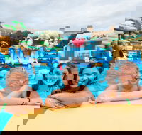 Waterworld Central - Mobile Inflatable Waterpark - Palm Beach Accommodation