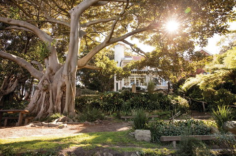 Wendy Whiteley's Secret Garden - Palm Beach Accommodation 0
