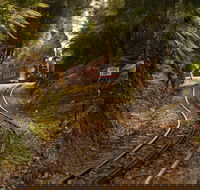 West Coast - Palm Beach Accommodation