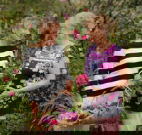 White Cottage - Palm Beach Accommodation