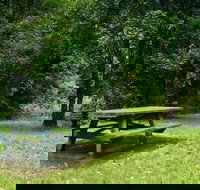 Williams River picnic area - Palm Beach Accommodation