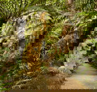 William Ricketts Sanctuary - Palm Beach Accommodation