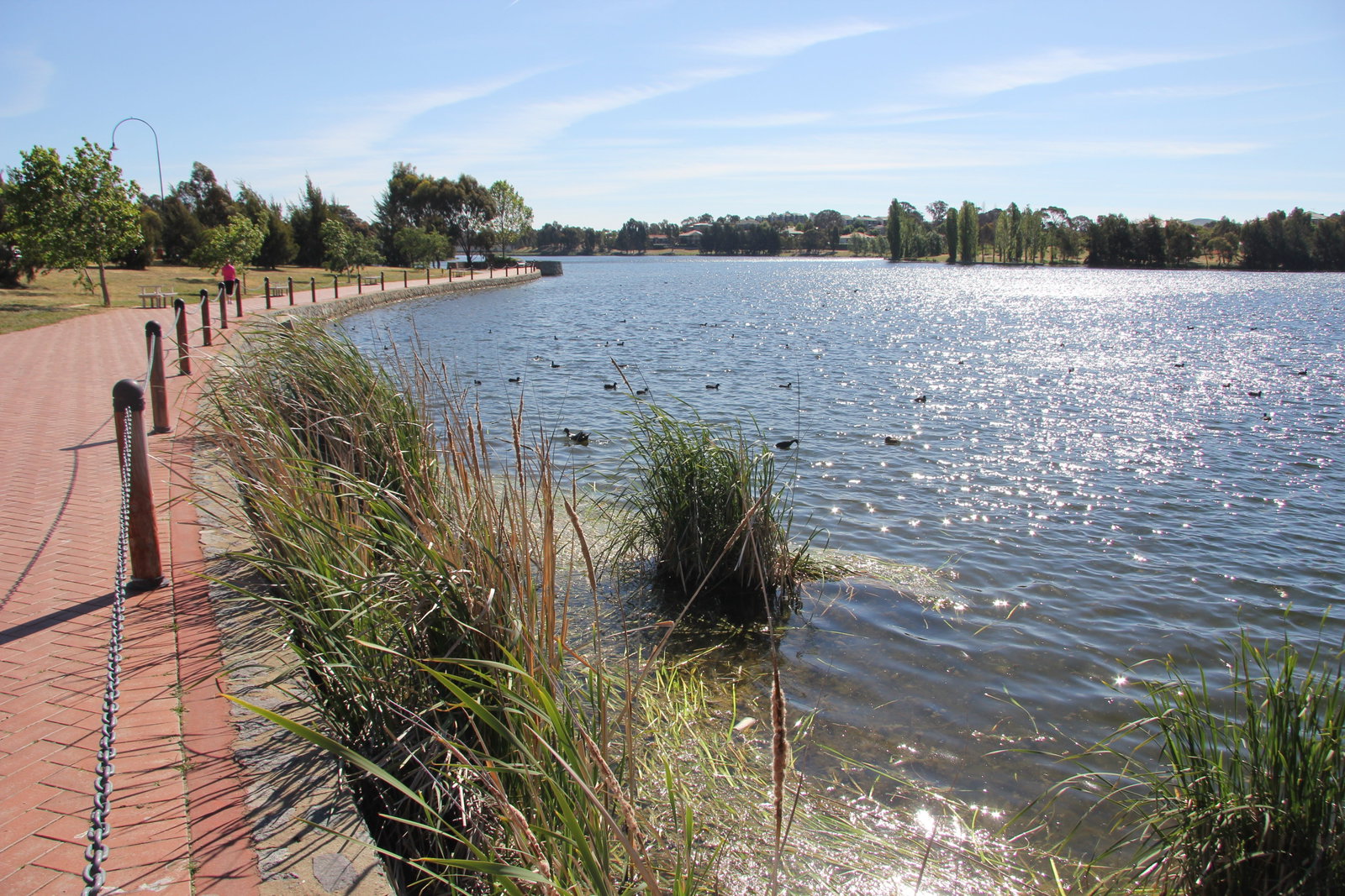 Amaroo ACT Palm Beach Accommodation
