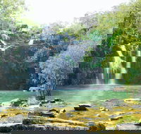 Airlie Beach to Cedar Creek Falls - Palm Beach Accommodation