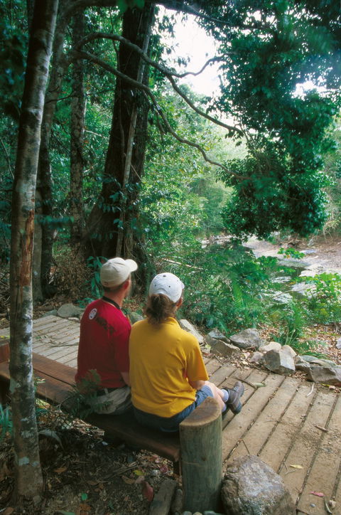 Airlie Beach To Cedar Creek Falls - Palm Beach Accommodation 2