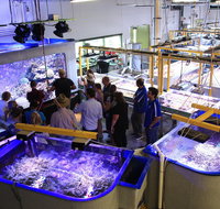 Australian Institute of Marine Science - Palm Beach Accommodation