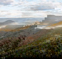 Badgerys Spur Walking Track - Palm Beach Accommodation