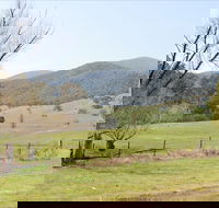 Banimboola Creek Rest Area - Palm Beach Accommodation