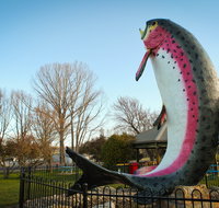 Big Trout