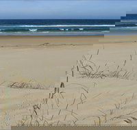 Bongil Beach - Palm Beach Accommodation