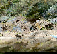 Boonoo Boonoo National Park - Palm Beach Accommodation