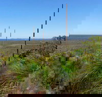 Broadwater National Park - Palm Beach Accommodation