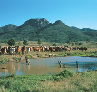 Bundaberg- Biggenden- Mount Perry Circle - Palm Beach Accommodation