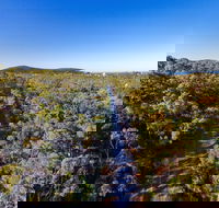 Capricorn Coast Pineapple Rail Trail - Palm Beach Accommodation