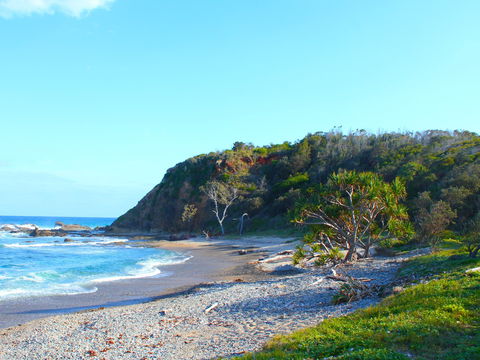 Clay Head - Palm Beach Accommodation 0