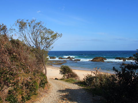 Clay Head - Palm Beach Accommodation 1