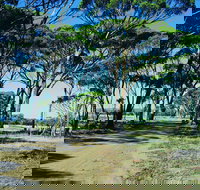 Dumbleyung - Palm Beach Accommodation