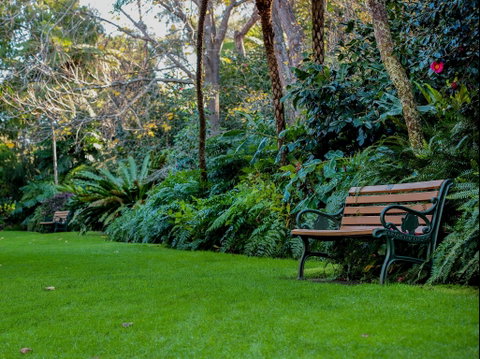 EG Waterhouse National Camellia Gardens - Palm Beach Accommodation 0