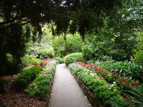 EG Waterhouse National Camellia Gardens - Palm Beach Accommodation 1