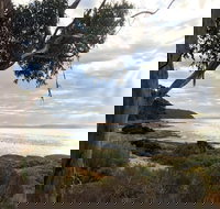 Fish Cannery Walking Trail - Palm Beach Accommodation