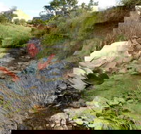 Gold Panning Deep Creek - Palm Beach Accommodation