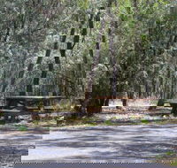 Goonoowigall State Conservation Area - Palm Beach Accommodation