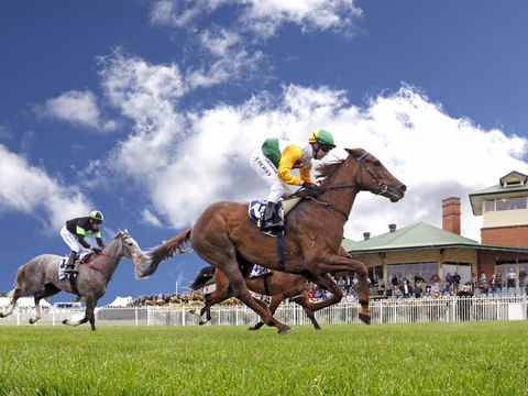 Goulburn And District Racing Club - Palm Beach Accommodation 0
