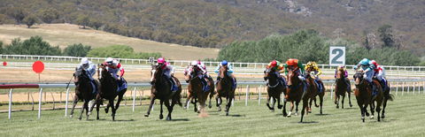 Goulburn And District Racing Club - Palm Beach Accommodation 1