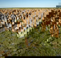 Gulf Region - Palm Beach Accommodation