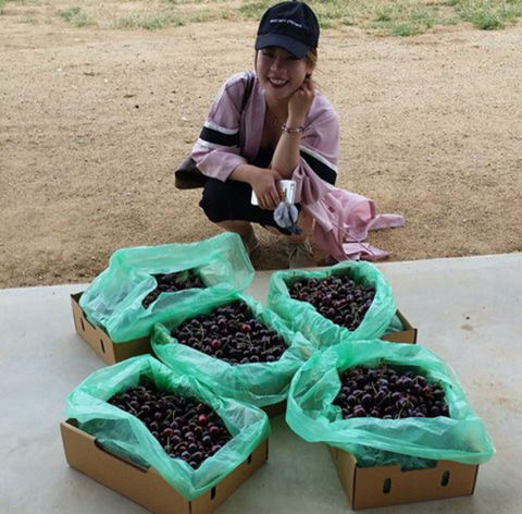 Hall Family Orchards - Palm Beach Accommodation 1