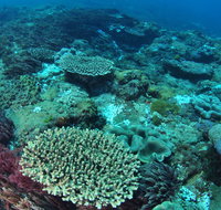 Hanging Rock Dive Site - Palm Beach Accommodation