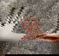 Hands of Fame Park - Palm Beach Accommodation