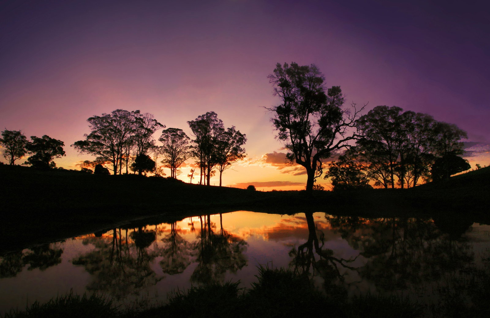 Highfields QLD Palm Beach Accommodation