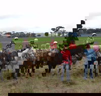 High Country Trail Rides - Palm Beach Accommodation