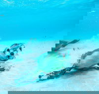 Jurien Bay - Palm Beach Accommodation