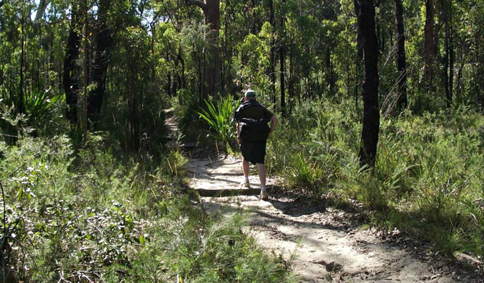 Heathcote NSW Palm Beach Accommodation