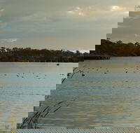 Lake Inverell Reserve - Palm Beach Accommodation