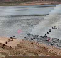 Lake Wyangala - Palm Beach Accommodation