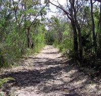 Lanky's Walk - Palm Beach Accommodation