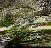Leura Cascades picnic area - Palm Beach Accommodation