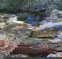Liffey Falls Reserve - Palm Beach Accommodation