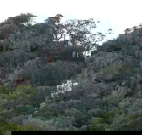 Mount Yarrowyck Nature Reserve - Palm Beach Accommodation