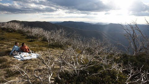 Mount Hotham - Palm Beach Accommodation 2