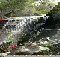 Nellies Glen Picnic Area - Palm Beach Accommodation