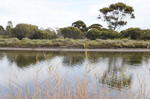 Onkaparinga River Recreation Park - Palm Beach Accommodation 0
