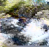 Polblue Falls - Palm Beach Accommodation