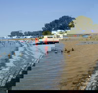 Port Vincent - Palm Beach Accommodation