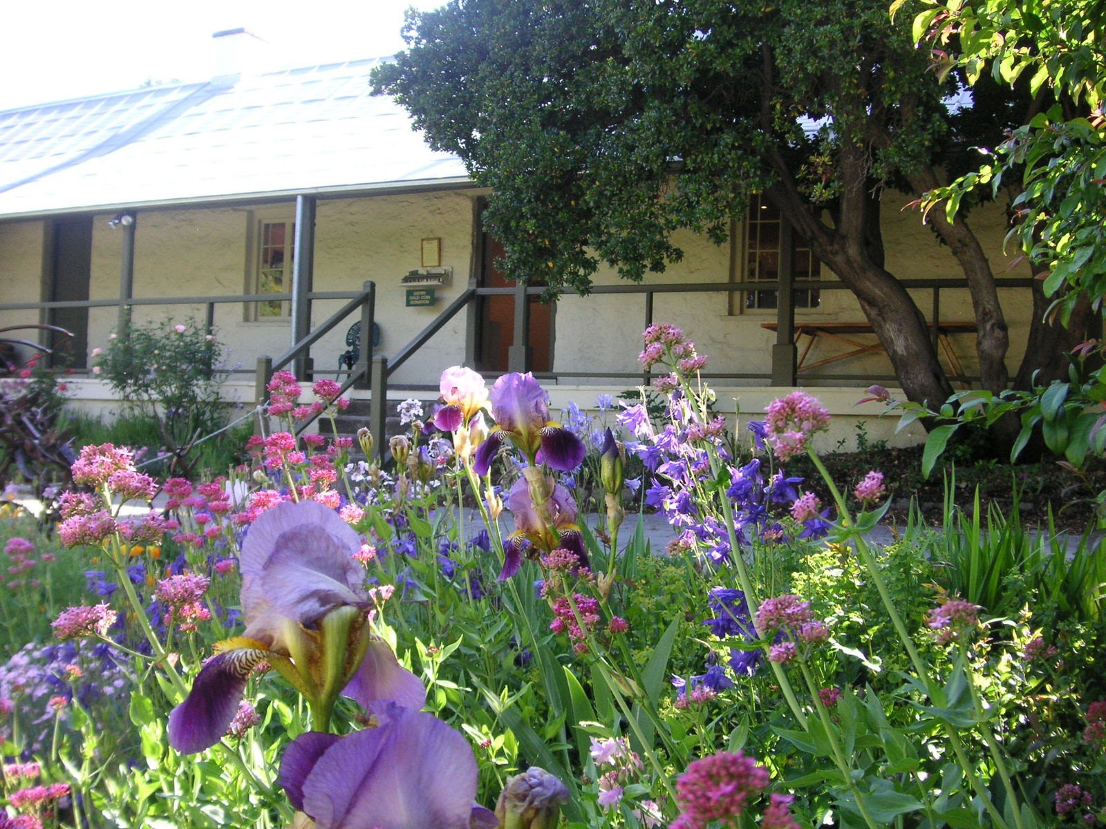 Myalla NSW Palm Beach Accommodation